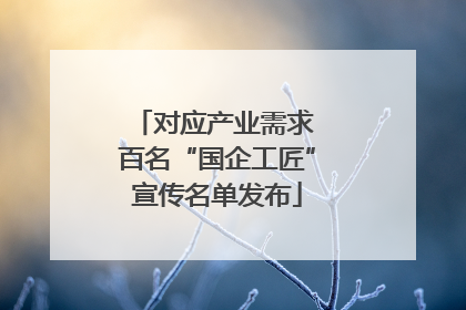 对应产业需求 百名“国企工匠”宣传名单发布