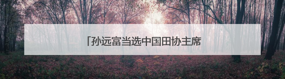 孙远富当选中国田协主席，王晓莹增补为副主席