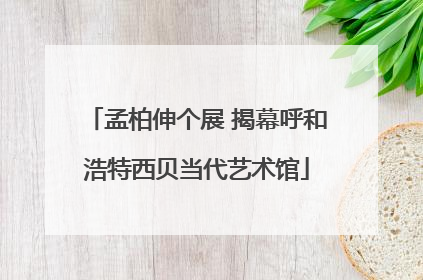 孟柏伸个展 揭幕呼和浩特西贝当代艺术馆