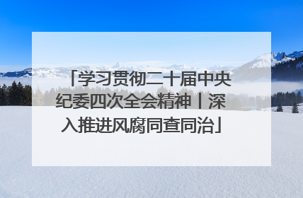 学习贯彻二十届中央纪委四次全会精神丨深入推进风腐同查同治