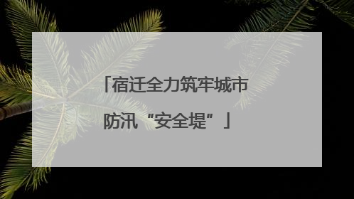 宿迁全力筑牢城市防汛“安全堤”