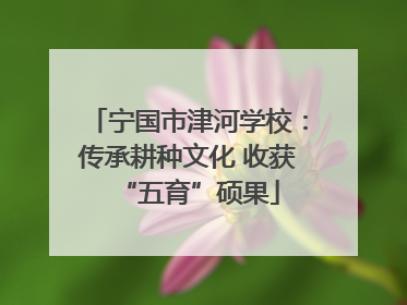 宁国市津河学校：传承耕种文化 收获“五育”硕果