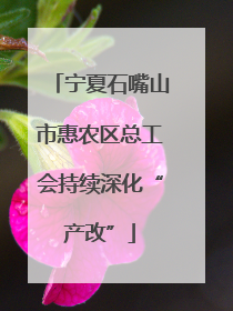 宁夏石嘴山市惠农区总工会持续深化“产改”