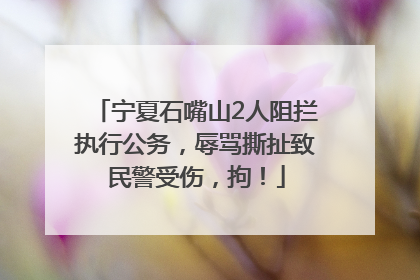 宁夏石嘴山2人阻拦执行公务，辱骂撕扯致民警受伤，拘！