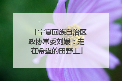 宁夏回族自治区政协常委刘媛：走在希望的田野上