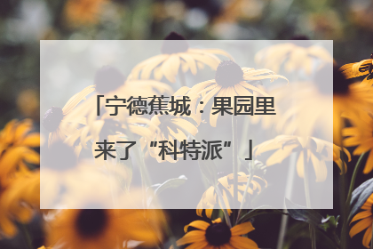 宁德蕉城：果园里来了“科特派”