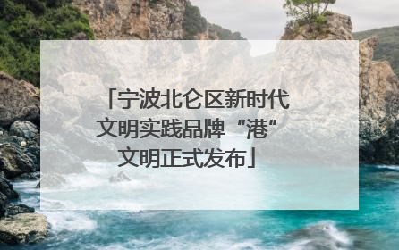 宁波北仑区新时代文明实践品牌“港”文明正式发布