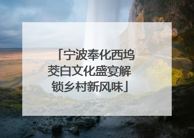 宁波奉化西坞茭白文化盛宴解锁乡村新风味