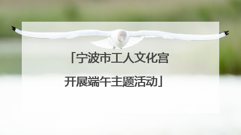 宁波市工人文化宫开展端午主题活动