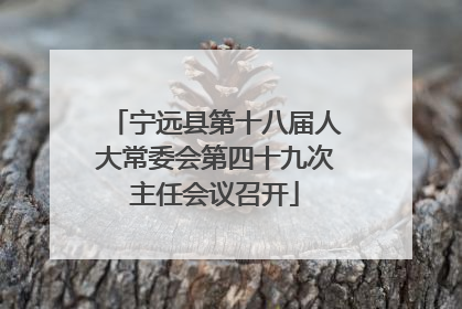 宁远县第十八届人大常委会第四十九次主任会议召开