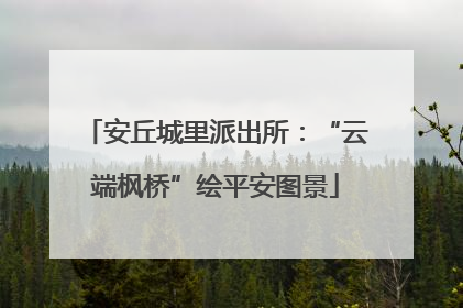 安丘城里派出所：“云端枫桥”绘平安图景