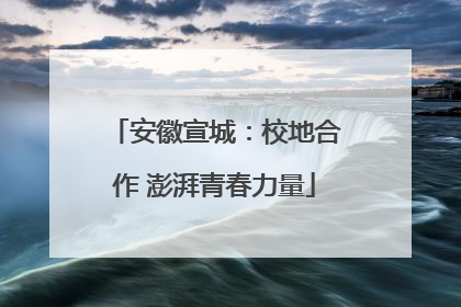 安徽宣城：校地合作 澎湃青春力量