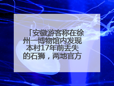 安徽游客称在徐州一博物馆内发现本村17年前丢失的石狮，两地官方最新回应