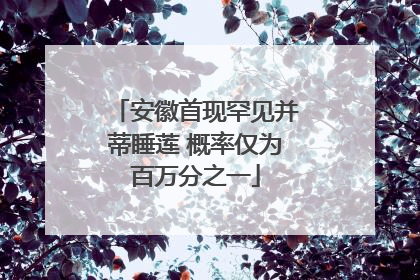 安徽首现罕见并蒂睡莲 概率仅为百万分之一