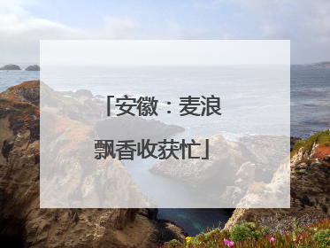 安徽：麦浪飘香收获忙