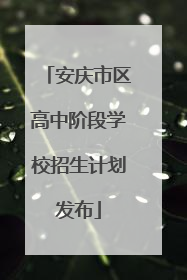 安庆市区高中阶段学校招生计划发布