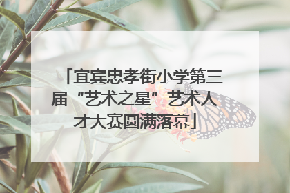 宜宾忠孝街小学第三届“艺术之星”艺术人才大赛圆满落幕