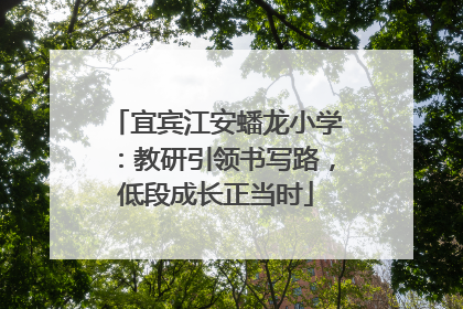 宜宾江安蟠龙小学：教研引领书写路，低段成长正当时