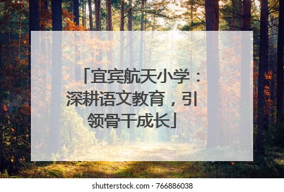 宜宾航天小学：深耕语文教育，引领骨干成长