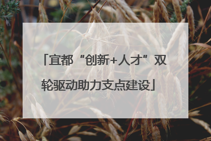 宜都“创新+人才”双轮驱动助力支点建设