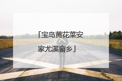 宝岛黄花菜安家尤溪畲乡