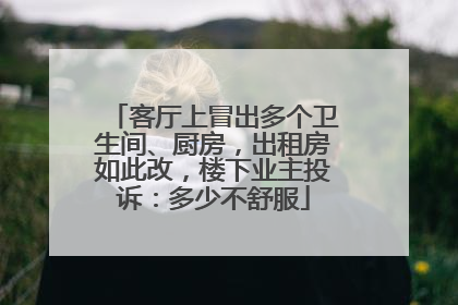 客厅上冒出多个卫生间、厨房，出租房如此改，楼下业主投诉：多少不舒服
