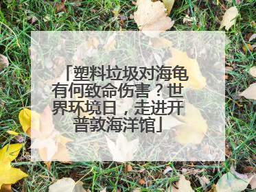 塑料垃圾对海龟有何致命伤害？世界环境日，走进开普敦海洋馆