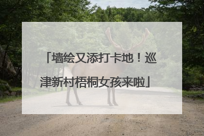 墙绘又添打卡地！巡津新村梧桐女孩来啦