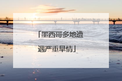 墨西哥多地遭遇严重旱情