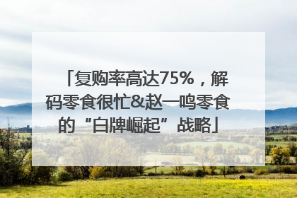 复购率高达75%，解码零食很忙&赵一鸣零食的“白牌崛起”战略