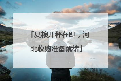 夏粮开秤在即，河北收购准备就绪
