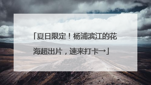 夏日限定！杨浦滨江的花海超出片，速来打卡→