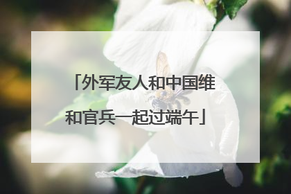外军友人和中国维和官兵一起过端午