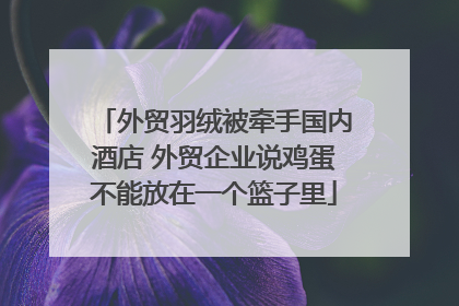 外贸羽绒被牵手国内酒店 外贸企业说鸡蛋不能放在一个篮子里