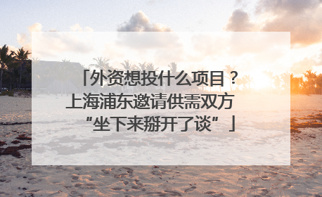 外资想投什么项目？上海浦东邀请供需双方“坐下来掰开了谈”