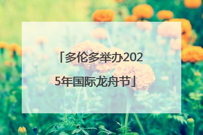 多伦多举办2025年国际龙舟节