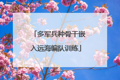 多军兵种骨干嵌入远海编队训练