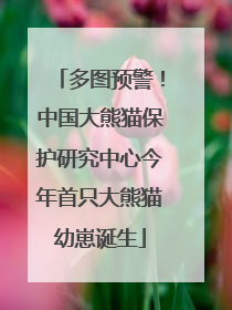 多图预警！中国大熊猫保护研究中心今年首只大熊猫幼崽诞生