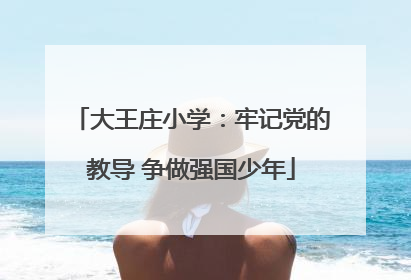 大王庄小学：牢记党的教导 争做强国少年