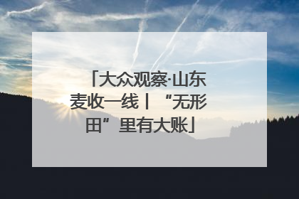 大众观察·山东麦收一线丨“无形田”里有大账