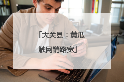 大关县：黄瓜触网销路宽