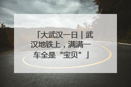 大武汉一日｜武汉地铁上，满满一车全是“宝贝”