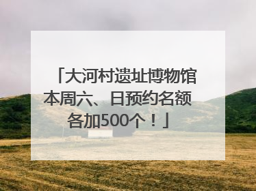 大河村遗址博物馆本周六、日预约名额各加500个！