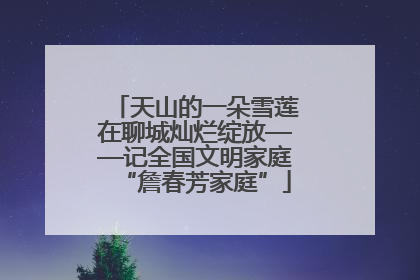 天山的一朵雪莲在聊城灿烂绽放——记全国文明家庭“詹春芳家庭”