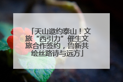 天山邀约泰山！文旅“西引力”催生文旅合作签约，鲁新共绘丝路诗与远方