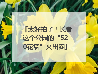 太好拍了！长春这个公园的“520花墙”火出圈