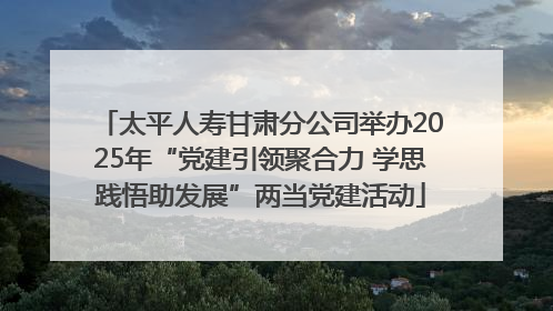 太平人寿甘肃分公司举办2025年“党建引领聚合力 学思践悟助发展”两当党建活动