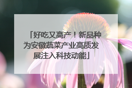好吃又高产！新品种为安徽蔬菜产业高质发展注入科技动能