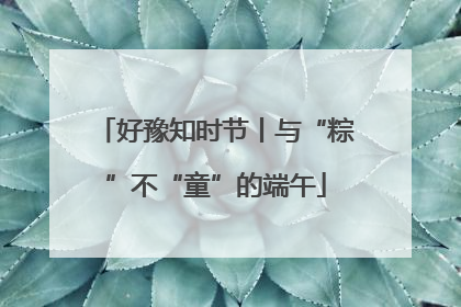 好豫知时节丨与“粽”不“童”的端午
