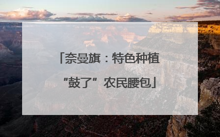 奈曼旗：特色种植“鼓了”农民腰包